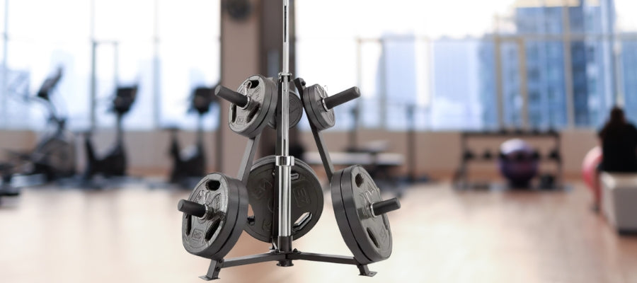 Weight Plate Storage Solutions for Home & Commercial Gyms