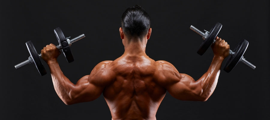 Shop Dumbbells Collection – Adjustable, Fixed & Rubber-Coated