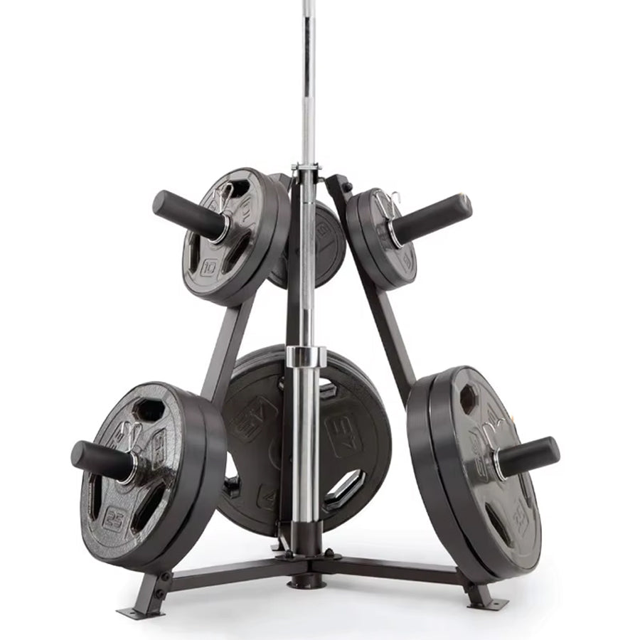 Heavy-Duty Vertical Weight & Dumbbell Storage Rack 300kg
