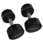 Pair of black dumbbells with '10KG' marking on a white background