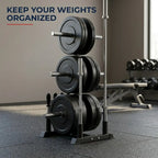 A black and silver weight stack rack holding multiple black weight plates, shown in a gym setting with dumbbells and a bench in the background. Text in the top left reads 'KEEP YOUR WEIGHTS ORGANIZED'.