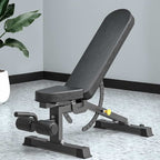 Black adjustable weight bench in a room with a plant and tiled floor.