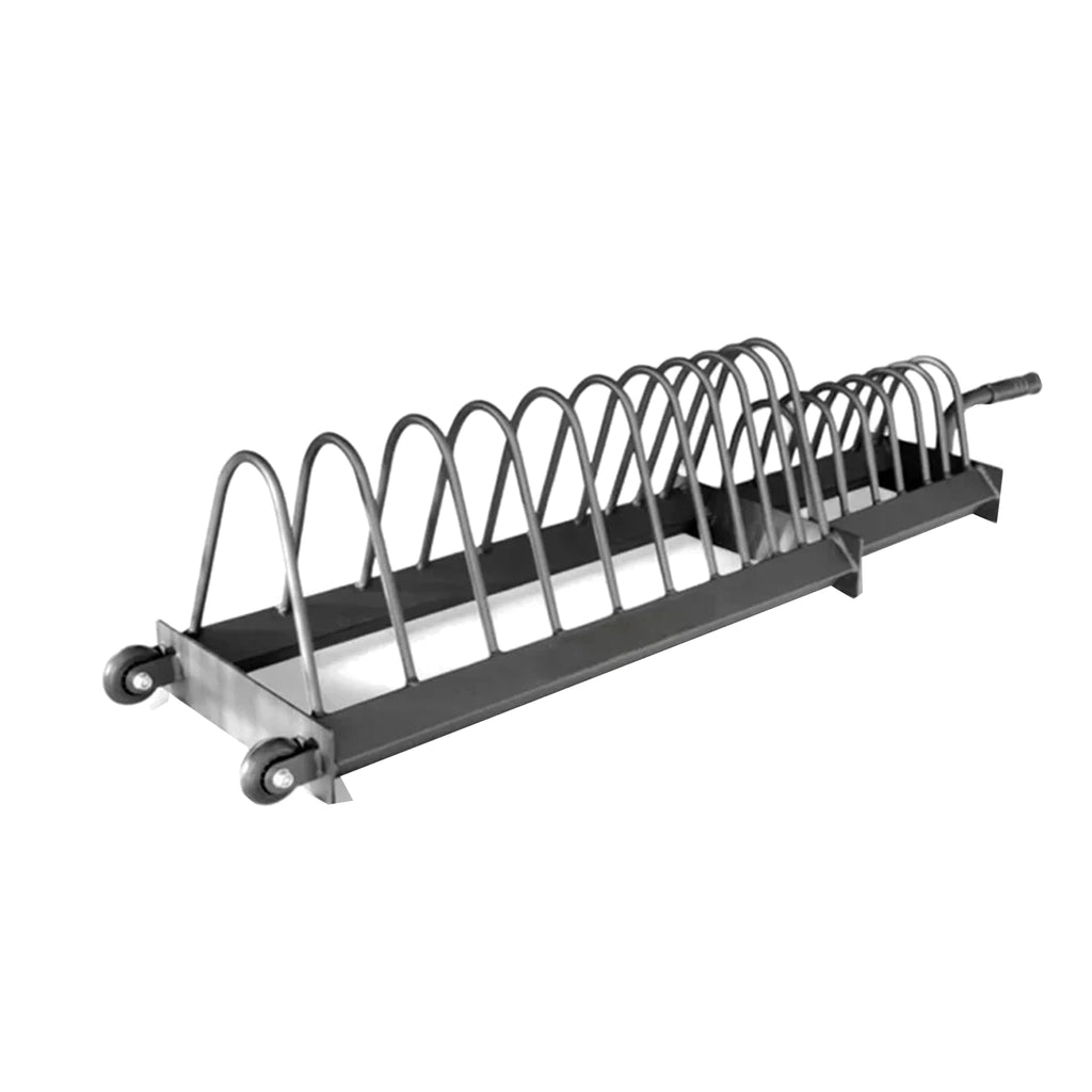 Horizontal Weight Plates Rack with Rolling Wheels & Barbell Holders