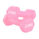 Pair (2 Dumbbells) / 2.5 kg