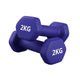 Pair (2 Dumbbells) / 2.0 kg