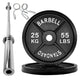 25.0 KG / With 4ft Barbell & Clips