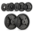 Cast Iron Weight Plates
