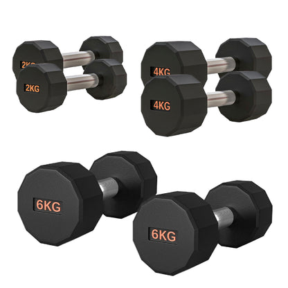 Round Hex Dumbbell – Rubber-Coated 12-Sided Free Weights | Single, Pair or Set | Non-Slip Steel Handle | Durable Sports Dumbbell for Home Gym Fitness