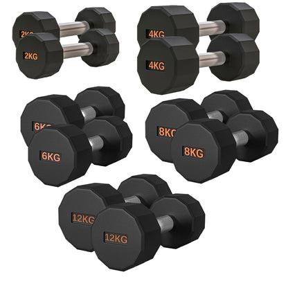 Round Hex Dumbbell – Rubber-Coated 12-Sided Free Weights | Single, Pair or Set | Non-Slip Steel Handle | Durable Sports Dumbbell for Home Gym Fitness