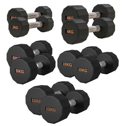 Round Hex Dumbbell – Rubber-Coated 12-Sided Free Weights | Single, Pair or Set | Non-Slip Steel Handle | Durable Sports Dumbbell for Home Gym Fitness