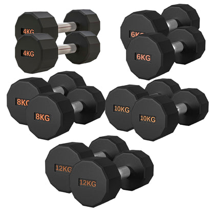 Round Hex Dumbbell – Rubber-Coated 12-Sided Free Weights | Single, Pair or Set | Non-Slip Steel Handle | Durable Sports Dumbbell for Home Gym Fitness