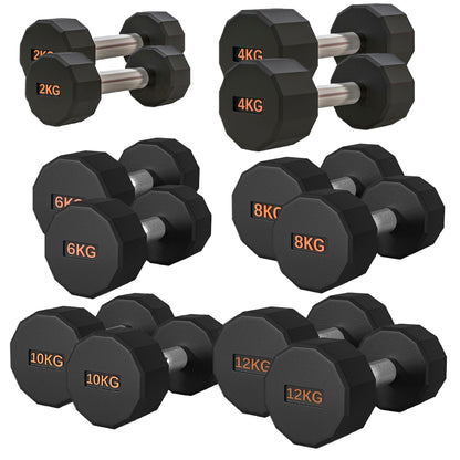 Round Hex Dumbbell – Rubber-Coated 12-Sided Free Weights | Single, Pair or Set | Non-Slip Steel Handle | Durable Sports Dumbbell for Home Gym Fitness