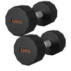 Pair of black hexagonal dumbbells with '12KG' marking on a white background