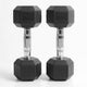 Pairs / 15.0kg