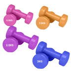 Set of colorful dumbbells with weight labels on a white background