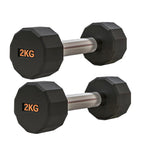 Pair of black hexagonal dumbbells with '2KG' marking on a white background