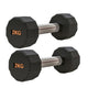 Pair(2 Dumbells) / 2x2Kg