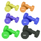 Set of colorful dumbbells with weight labels on a white background