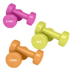 Set of colorful dumbbells with weight labels on a white background