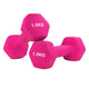 Pair (2 Dumbbells) / 1.5 kg