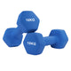 Pair (2 Dumbbells) / 10.0 kg